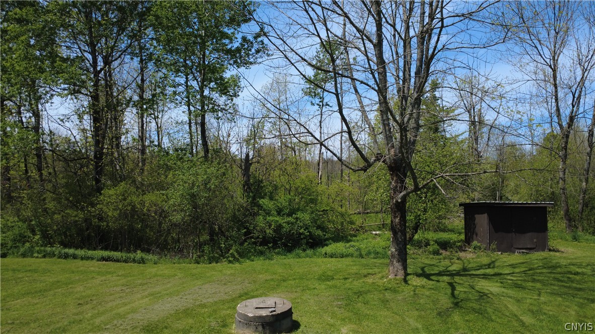0 Brown Road Adams, NY 13605 - Photo 5 of 30