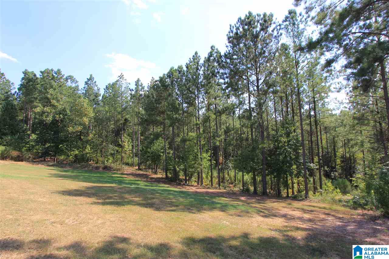 590 Meadow Ridge Drive Piedmont, AL 36272 - Photo 50 of 50