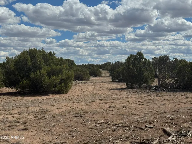 $31,000 | Lot 131 Elk Valley Ranch, Unit 131, St. Johns, AZ 85936