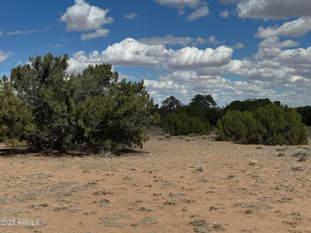 $31,000 | Lot 131 Elk Valley Ranch, Unit 131, St. Johns, AZ 85936