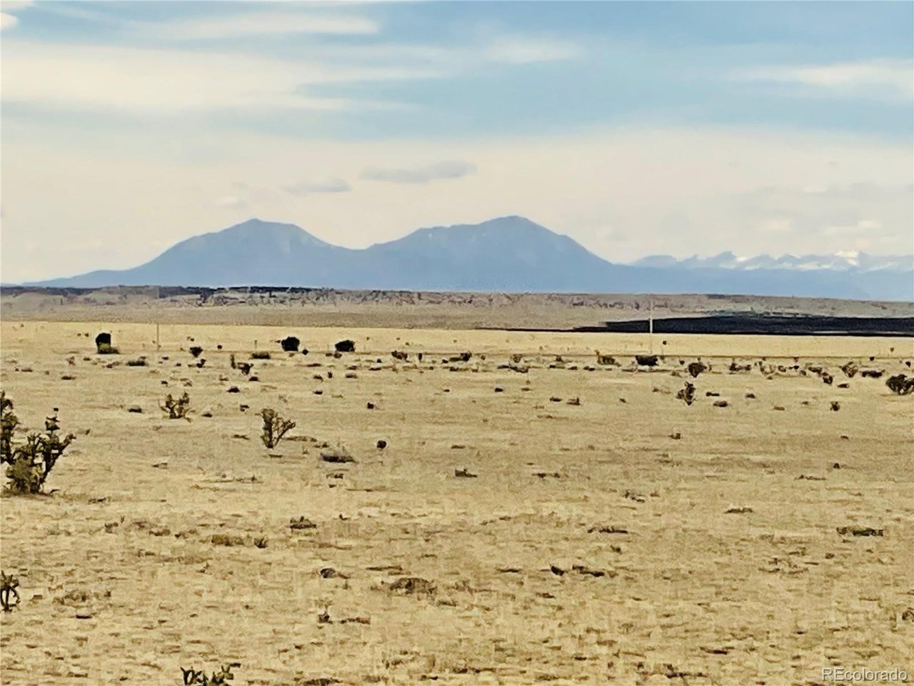 53 Turkey Ridge Ranch Walsenburg, CO 81089 - Photo 21 of 27