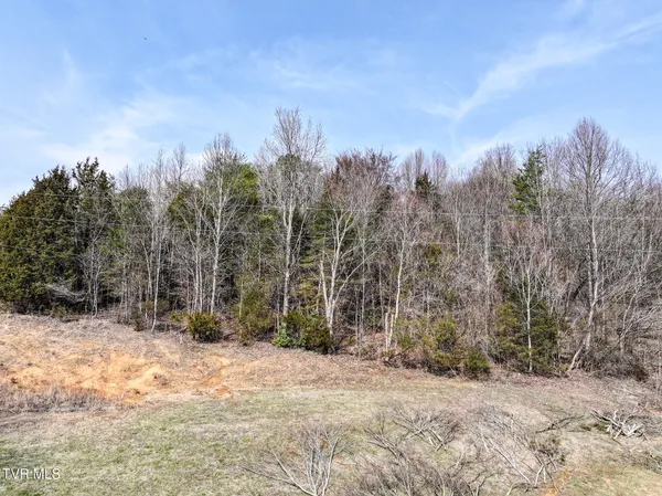 $120,000 | Tbd Campbell Circle, Chuckey, TN 37641