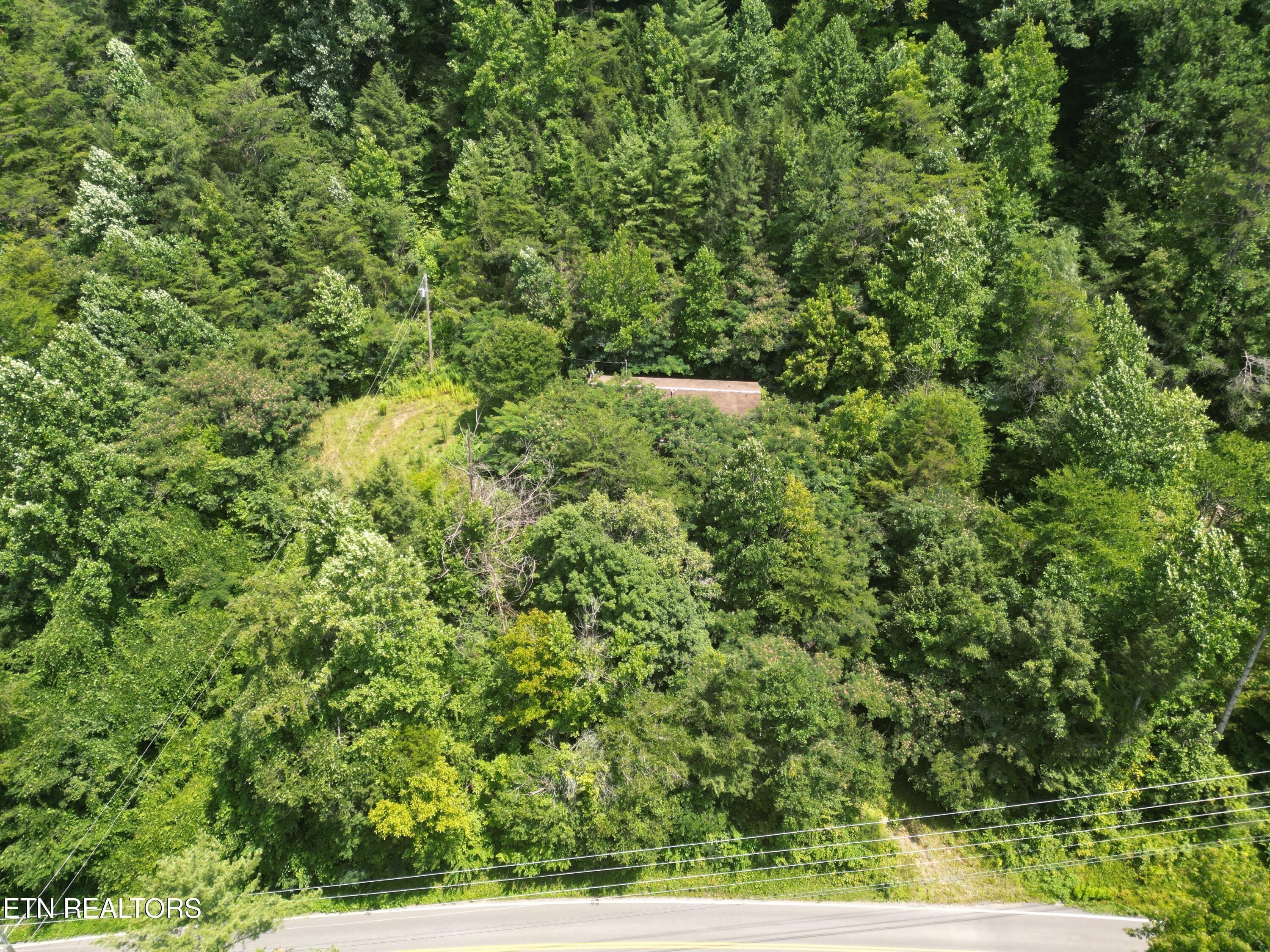 3576 Wilhite Road Pigeon Forge, TN 37876 - Photo 6 of 13 Wilhite 5