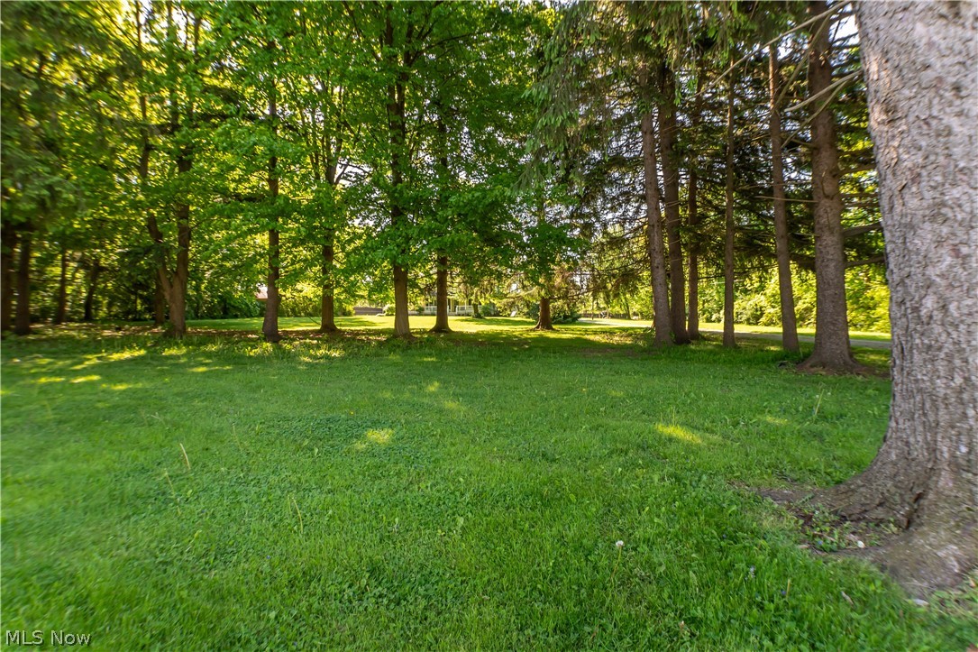 5671 Akron Road Smithville, OH 44677 - Photo 5 of 50