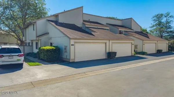 a garden view with a fountain
