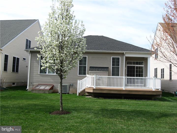 Exterior Back