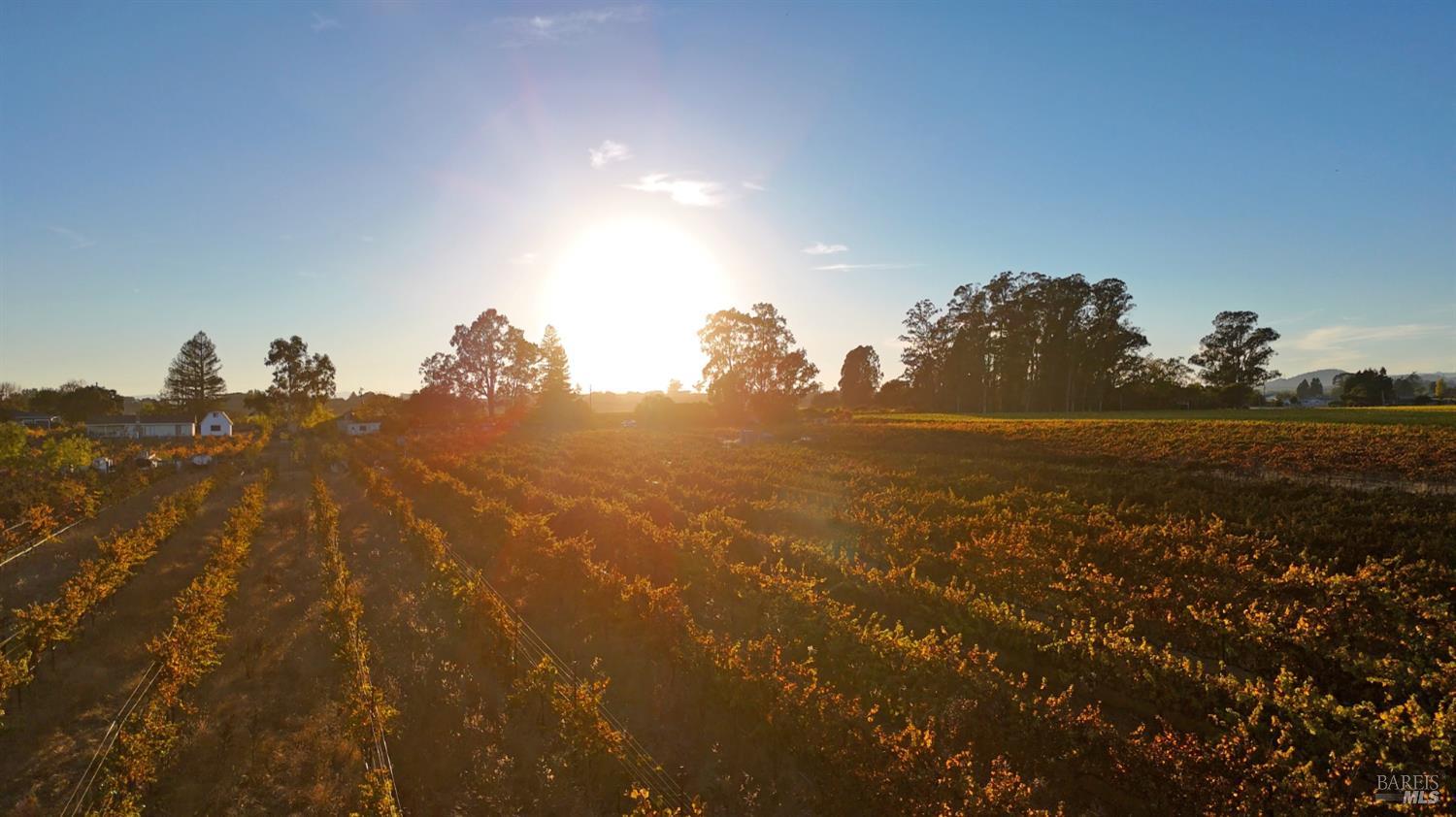 2110 Cuttings Wharf Road Napa, CA 94559 - Photo 11 of 11 a view of mountains