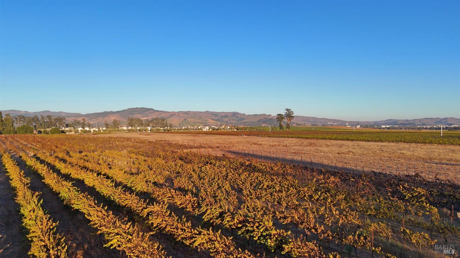 2110 Cuttings Wharf Road Napa, CA 94559 - Photo 5 of 11 a view of an ocean and city