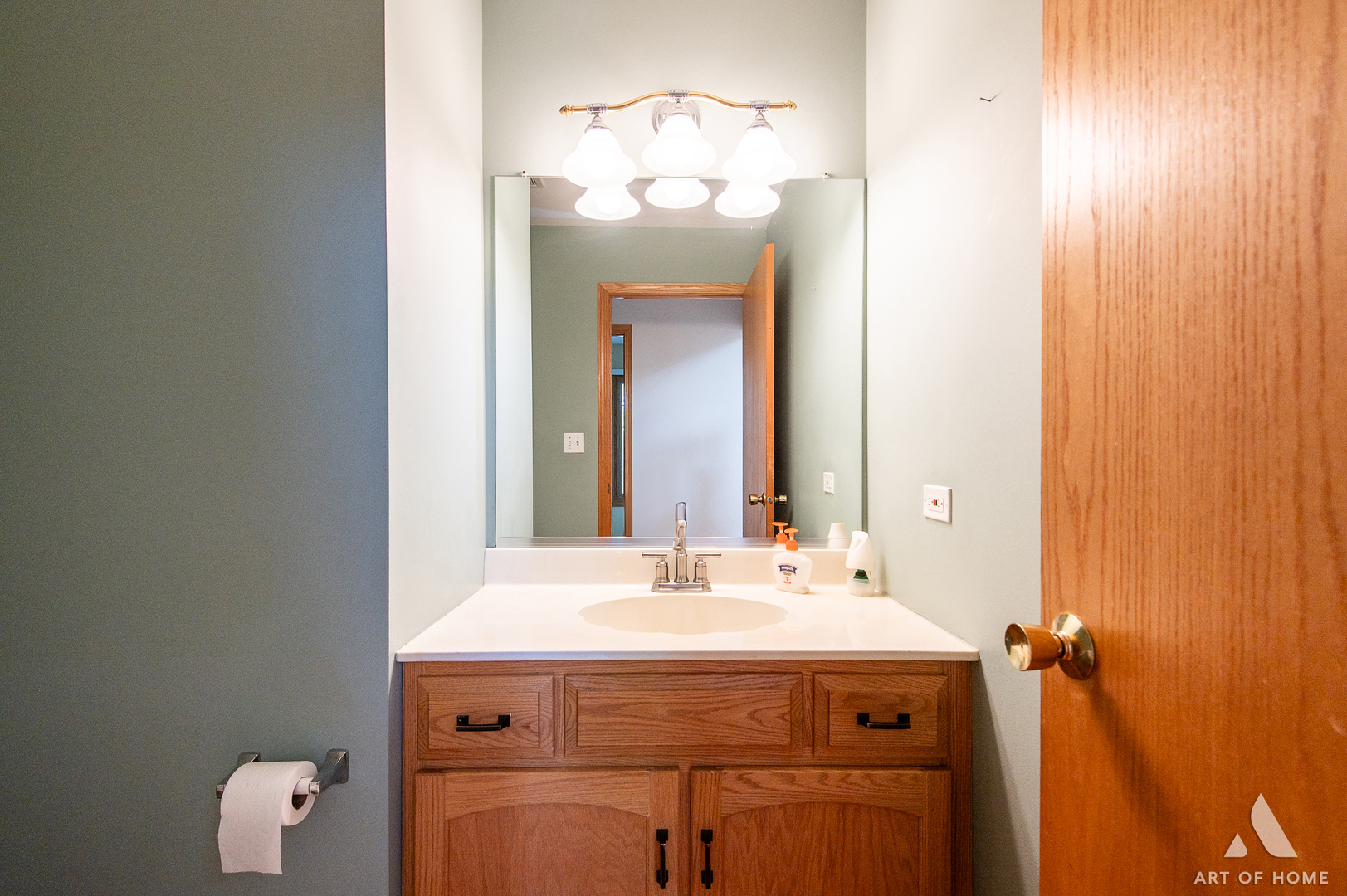 1196 Covington Drive Lemont, IL 60439 - Photo 22 of 52 a bathroom with a sink and a mirror