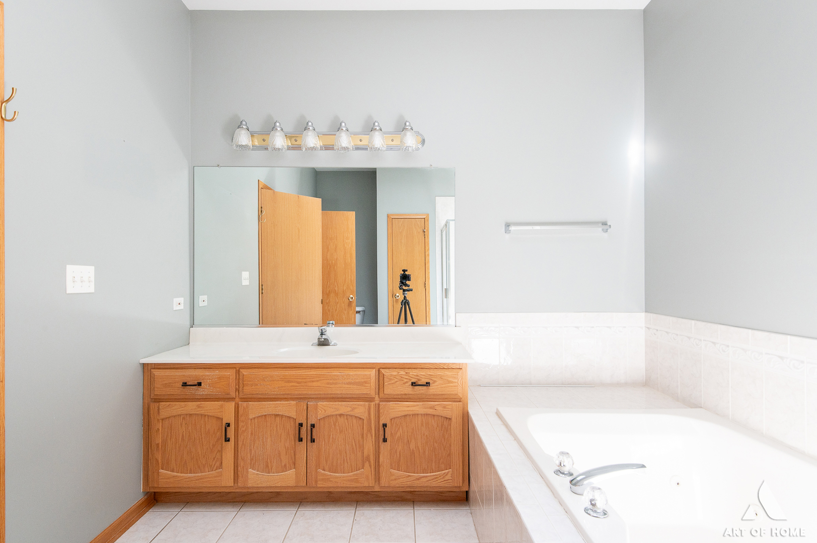 1196 Covington Drive Lemont, IL 60439 - Photo 27 of 52 a bathroom with a bathtub a sink and a mirror