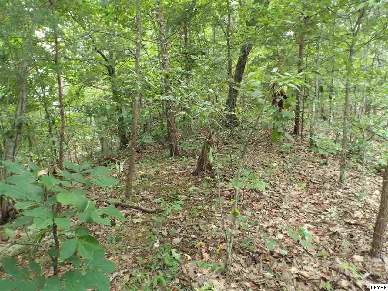 4 Lloyd Huskey Road Pigeon Forge, TN 37863 - Photo 8 of 10