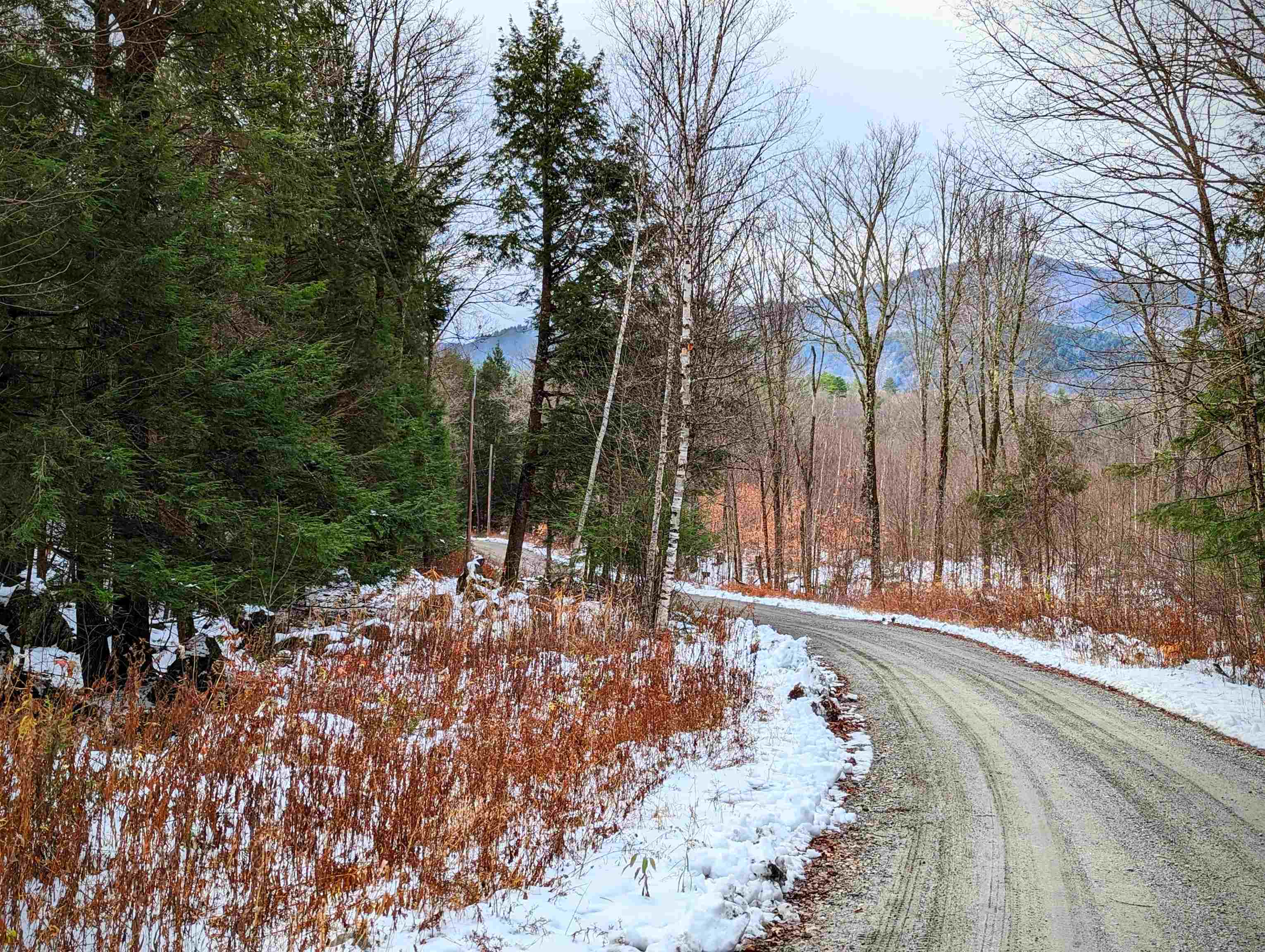 0 Pikes Peak Road Perkinsville, VT 05151 - Photo 7 of 15 Gallery Image 7