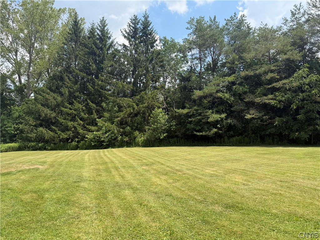 2110 County Rte 176 Volney, NY 13069 - Photo 10 of 24
