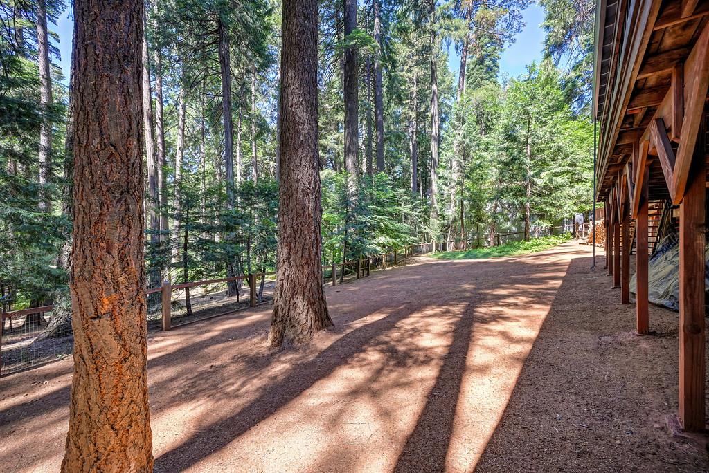 3644 Gold Ridge Trail Pollock Pines, CA 95726 - Photo 80 of 97