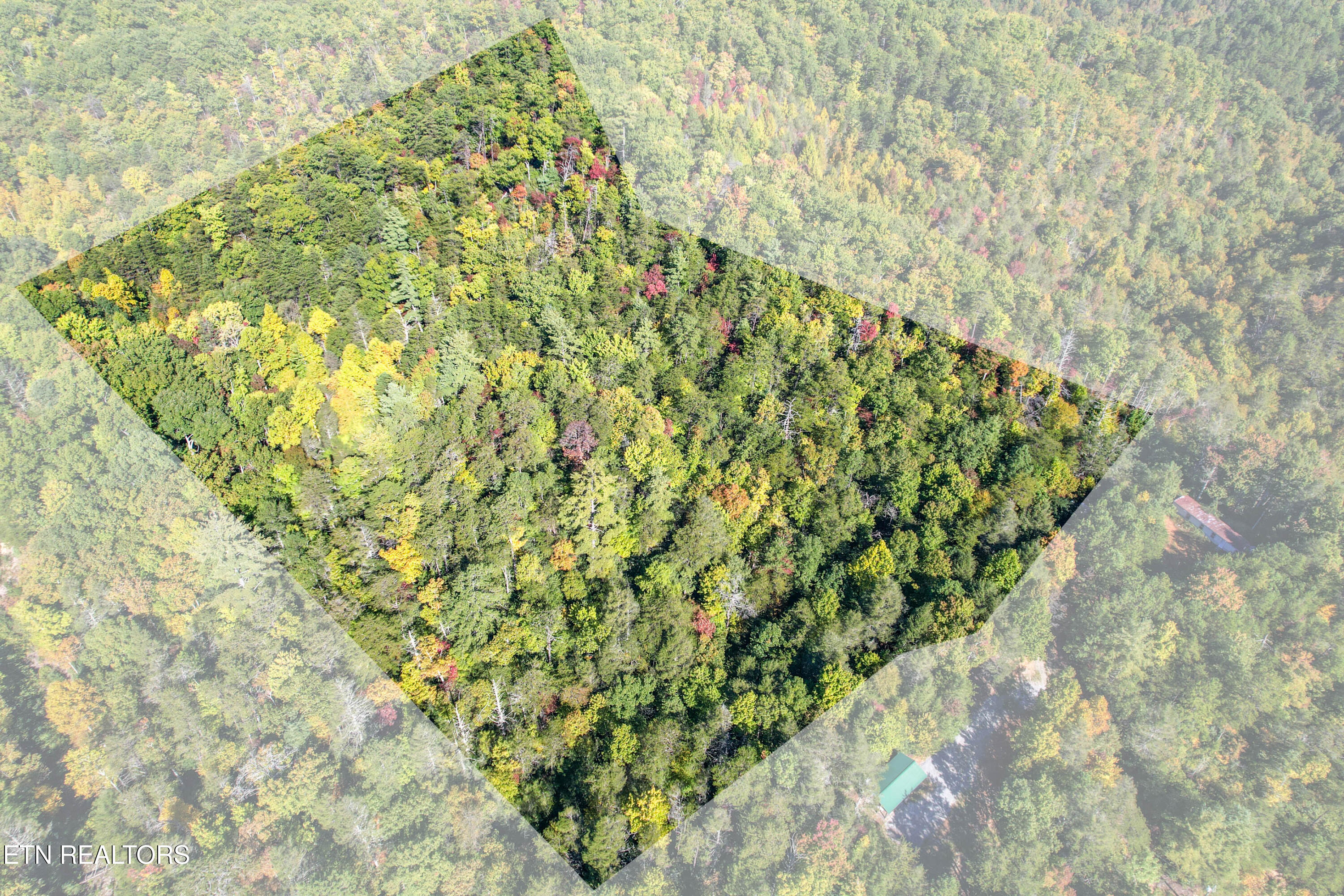 0 Branam Hollow Road Gatlinburg, TN 37738 - Photo 11 of 15 DJI_0967-Edit