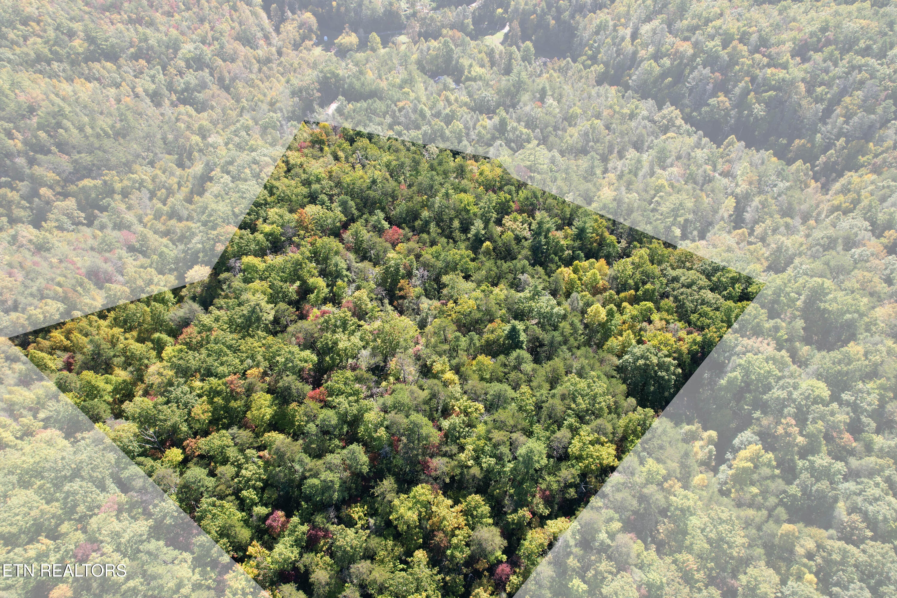 0 Branam Hollow Road Gatlinburg, TN 37738 - Photo 13 of 15 DJI_0970-Edit