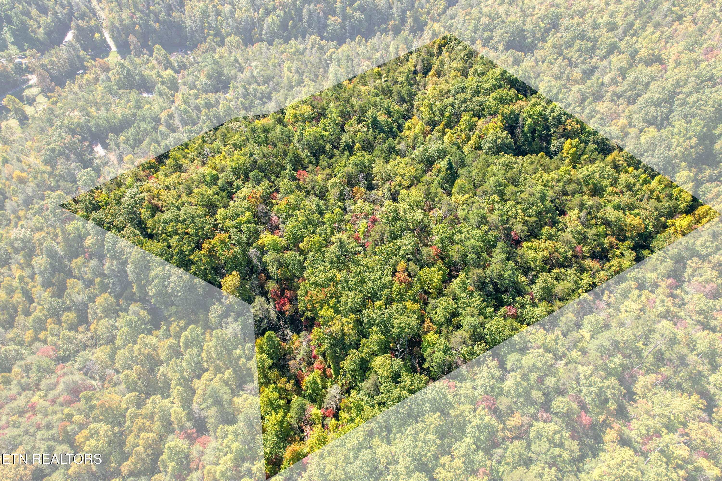 0 Branam Hollow Road Gatlinburg, TN 37738 - Photo 14 of 15 DJI_0971-Edit