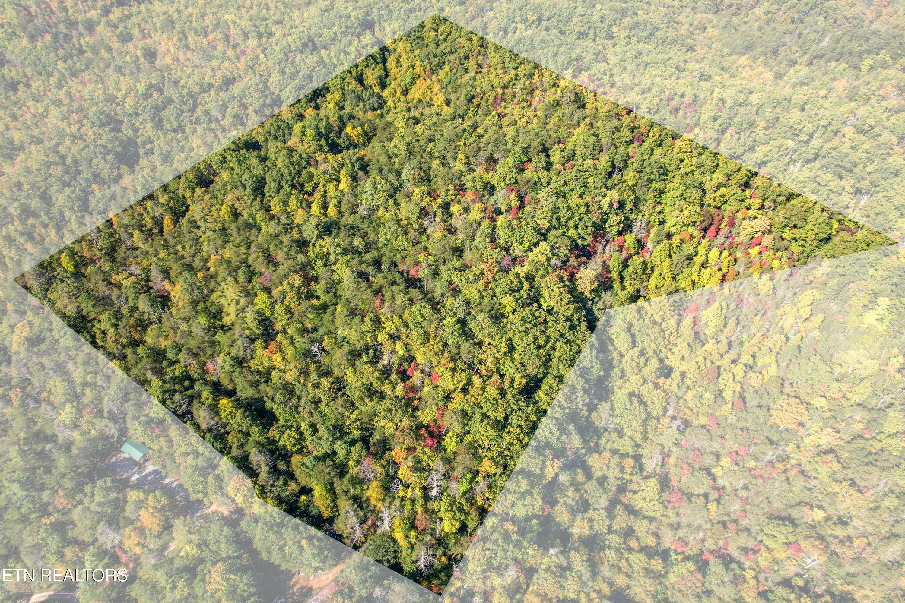 0 Branam Hollow Road Gatlinburg, TN 37738 - Photo 15 of 15 DJI_0973-Edit