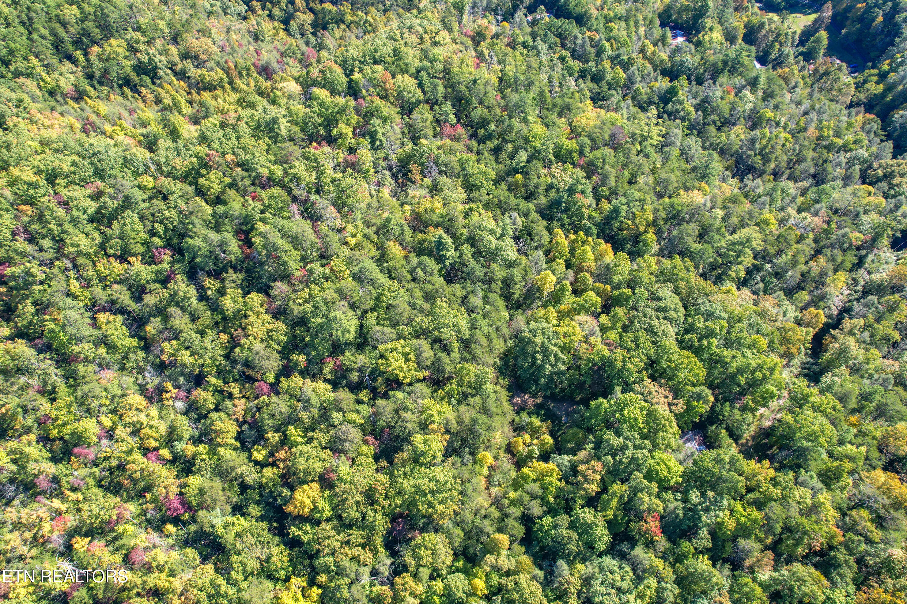 0 Branam Hollow Road Gatlinburg, TN 37738 - Photo 3 of 15 DJI_0969