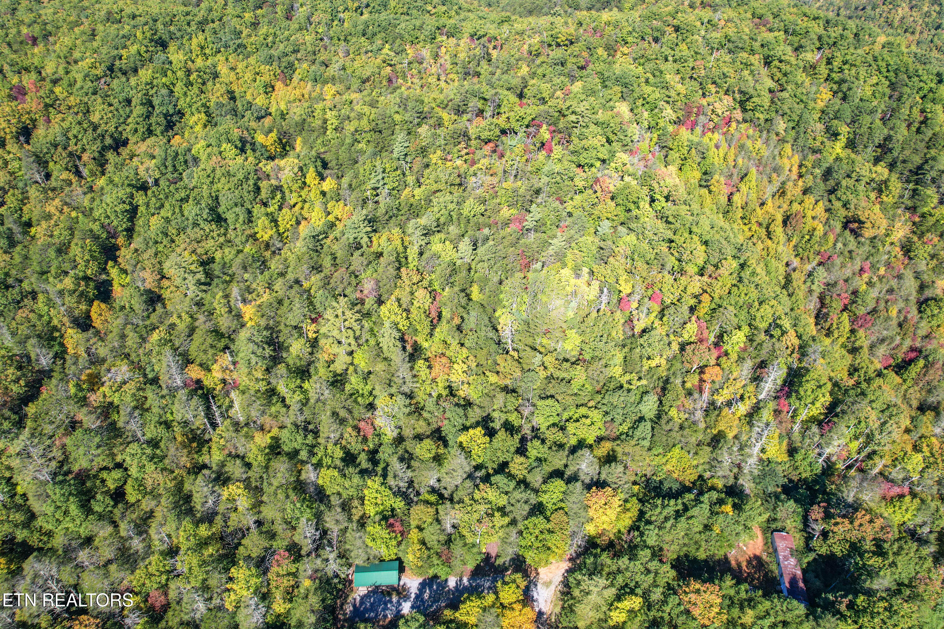 0 Branam Hollow Road Gatlinburg, TN 37738 - Photo 4 of 15 DJI_0966