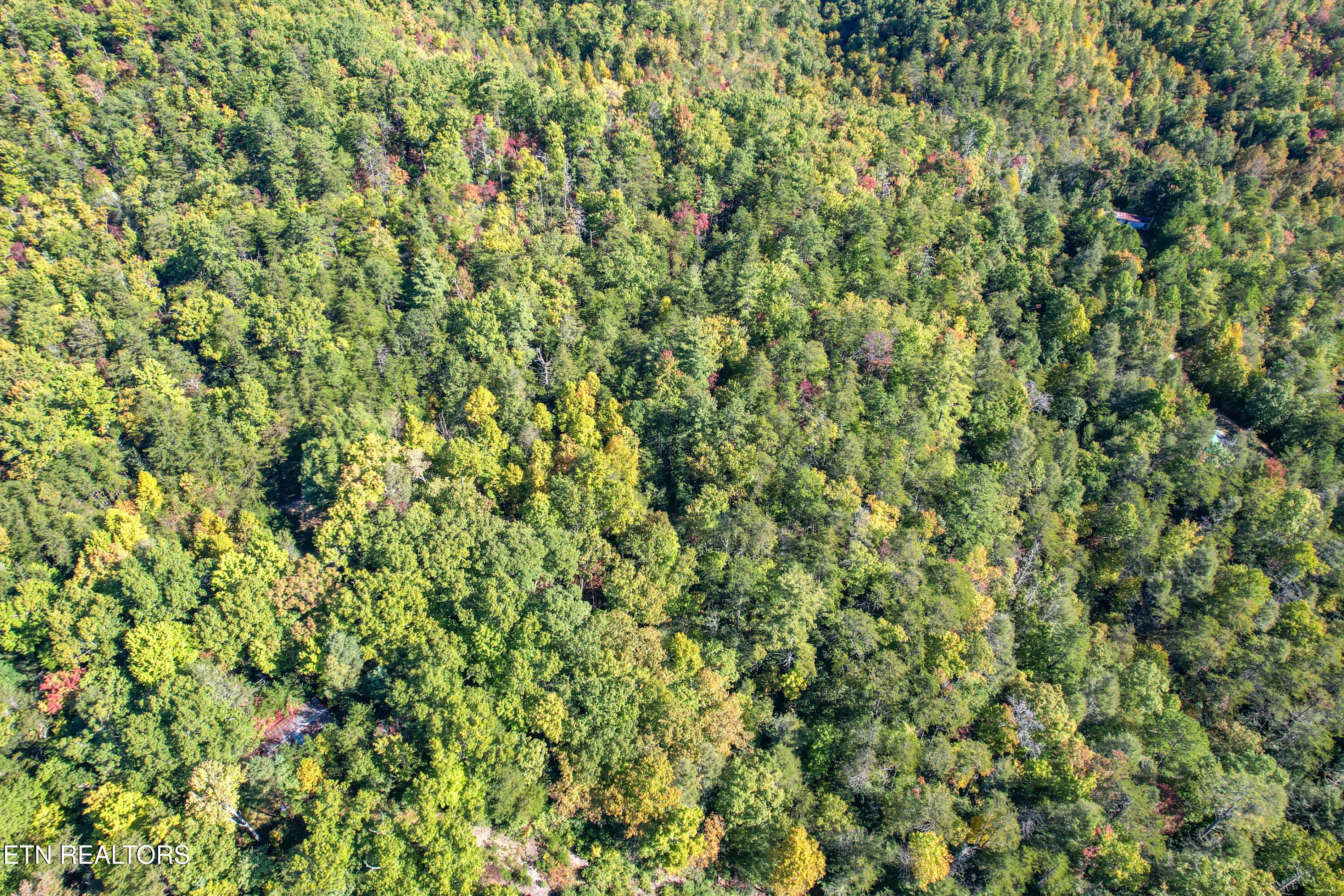0 Branam Hollow Road Gatlinburg, TN 37738 - Photo 5 of 15 DJI_0968