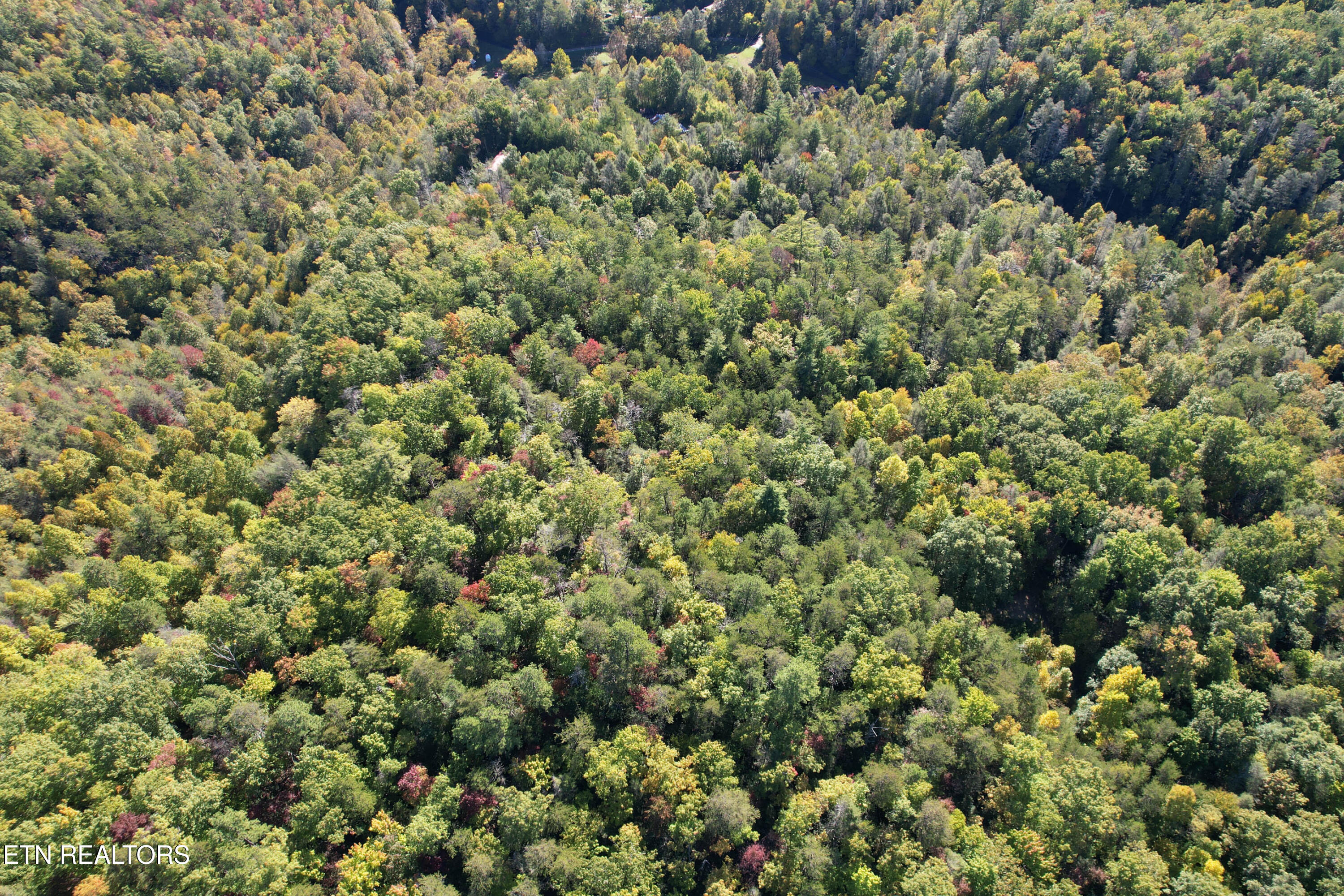 0 Branam Hollow Road Gatlinburg, TN 37738 - Photo 6 of 15 DJI_0970