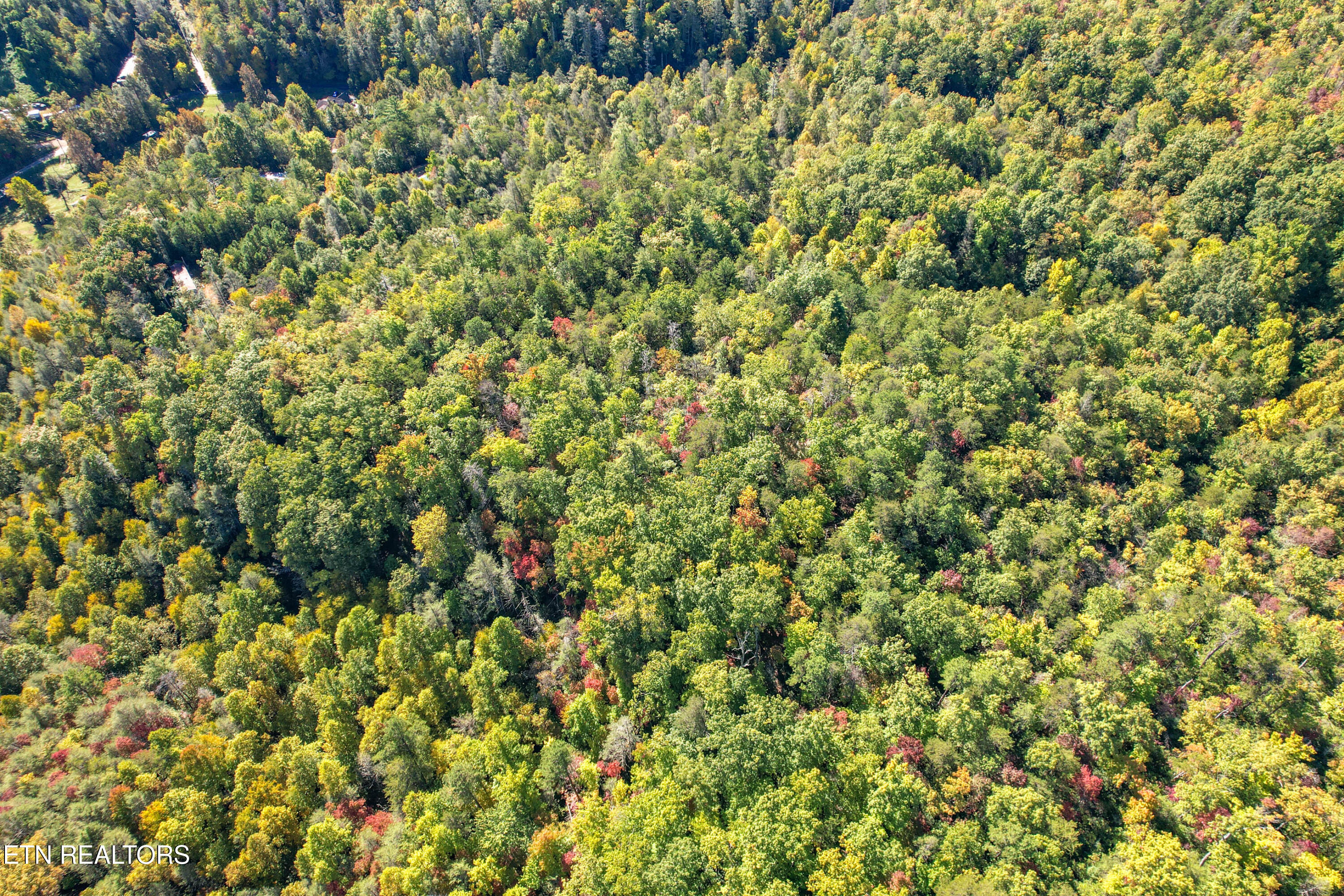 0 Branam Hollow Road Gatlinburg, TN 37738 - Photo 7 of 15 DJI_0971
