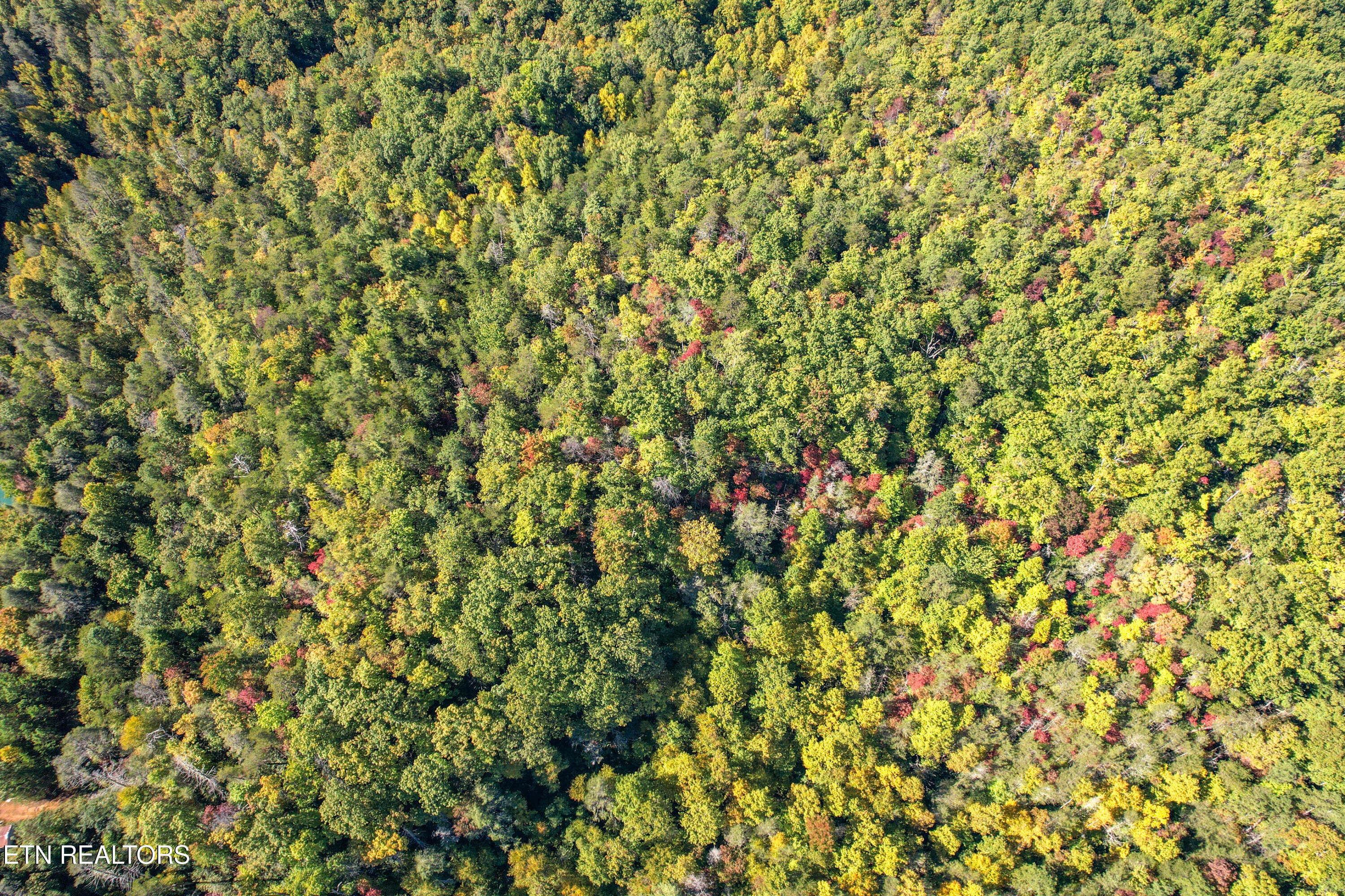 0 Branam Hollow Road Gatlinburg, TN 37738 - Photo 8 of 15 DJI_0972