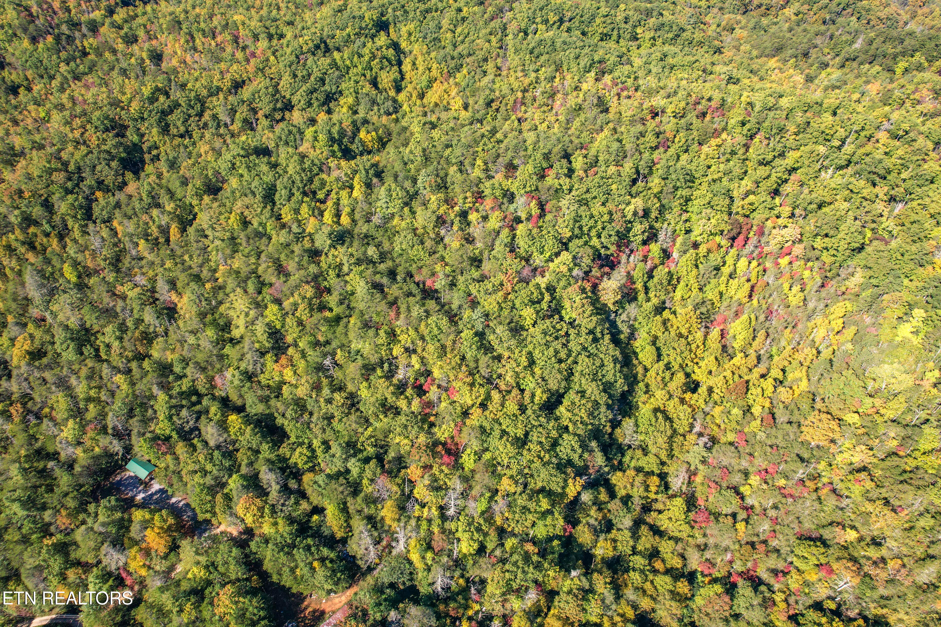 0 Branam Hollow Road Gatlinburg, TN 37738 - Photo 9 of 15 DJI_0973