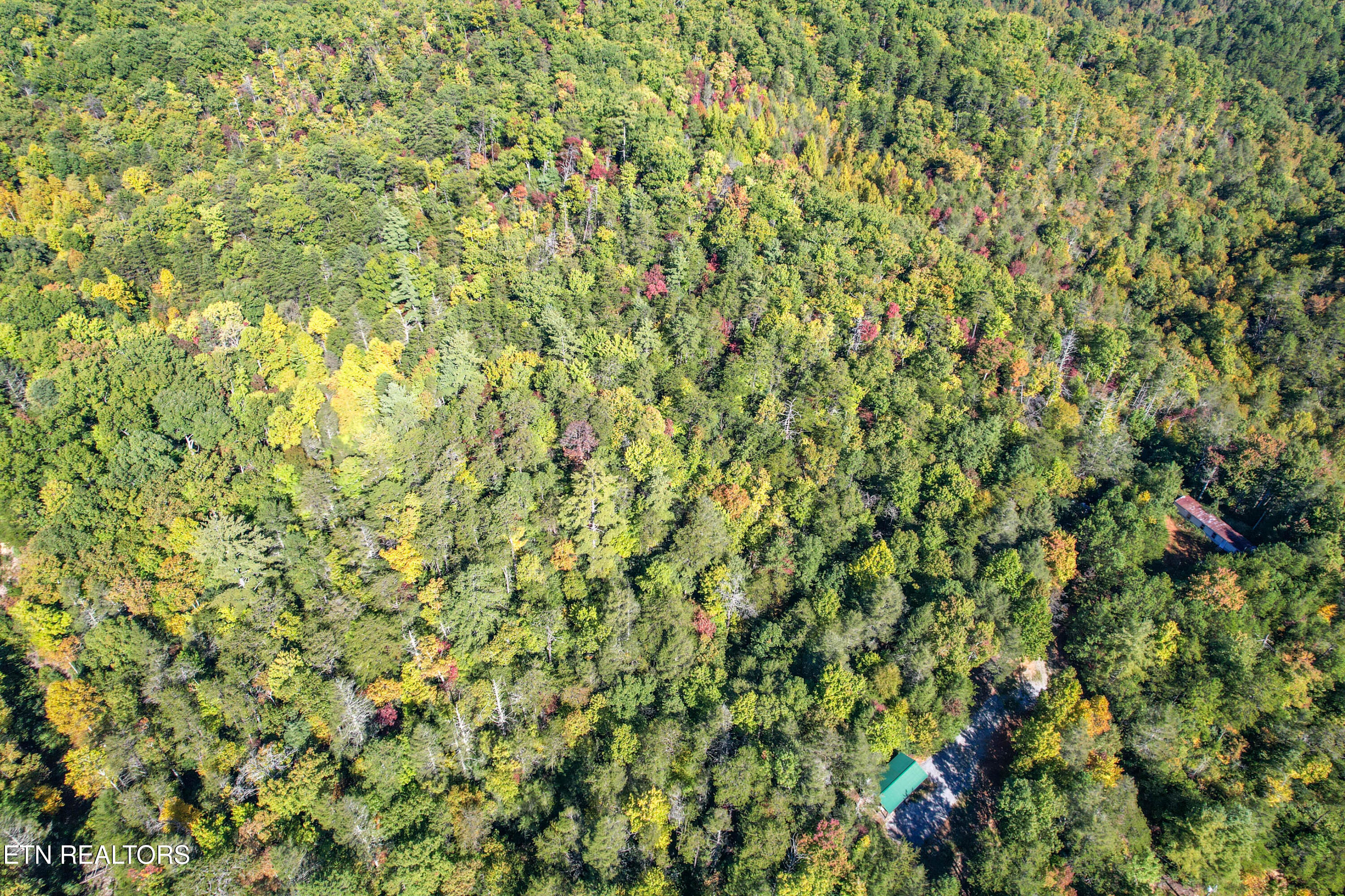 0 Branam Hollow Road Gatlinburg, TN 37738 - Photo 10 of 15 DJI_0967