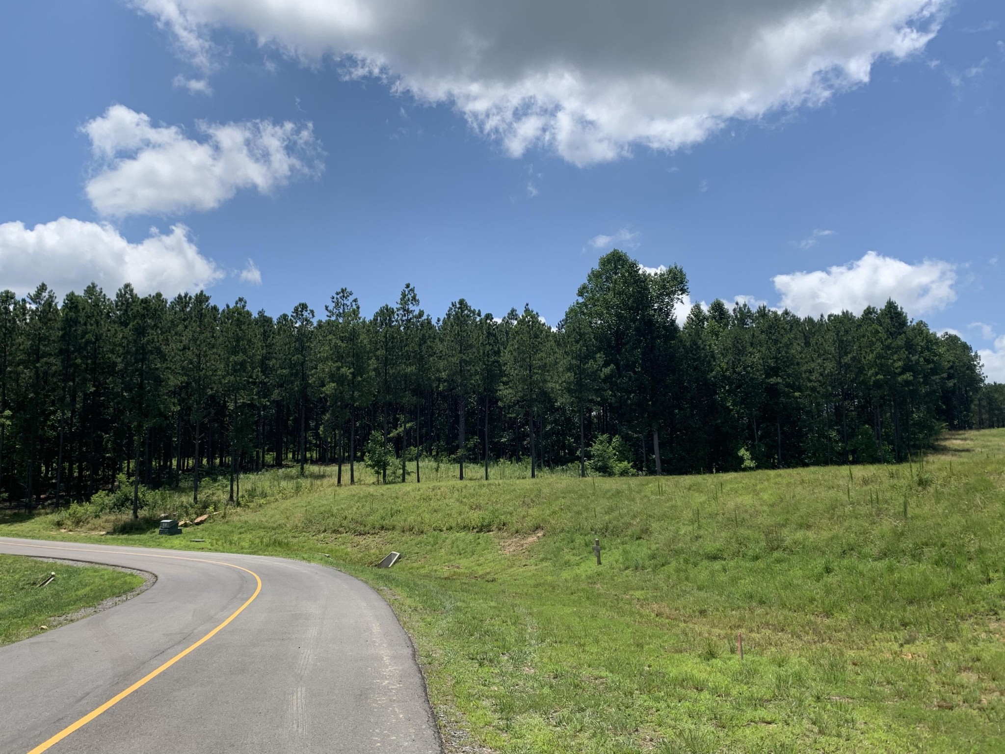 350 Crockett Loop Jasper, TN 37347 - Photo 1 of 55 a view of a golf course with a big yard