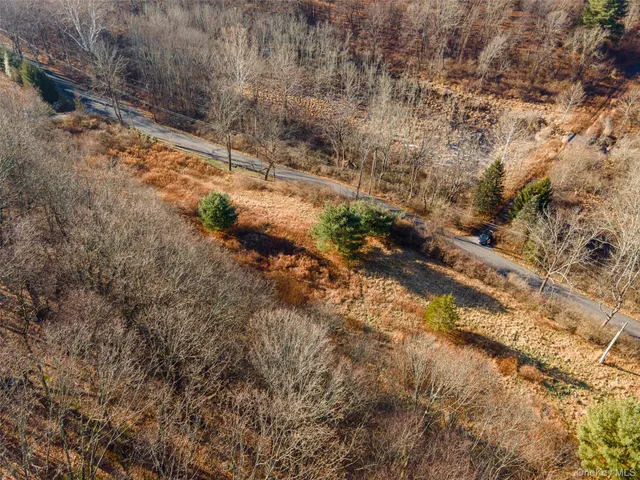 a view of a lake with lots of trees