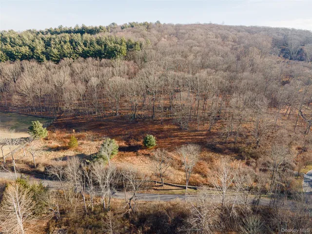 a view of a lake with lots of trees