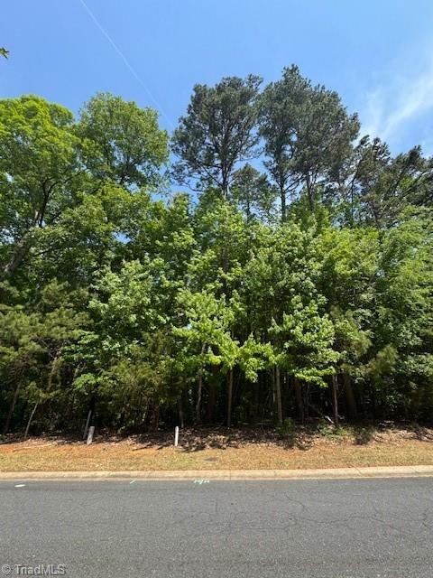 Lot 36 Fox Ridge Road Asheboro, NC 27205 - Photo 5 of 8