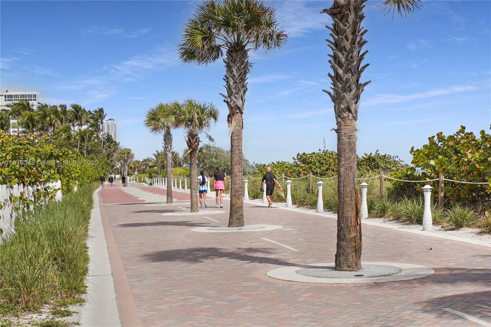 5101 Collins Avenue, Unit 14K Miami Beach, FL 33140 - Photo 9 of 13 a view of a park with palm trees