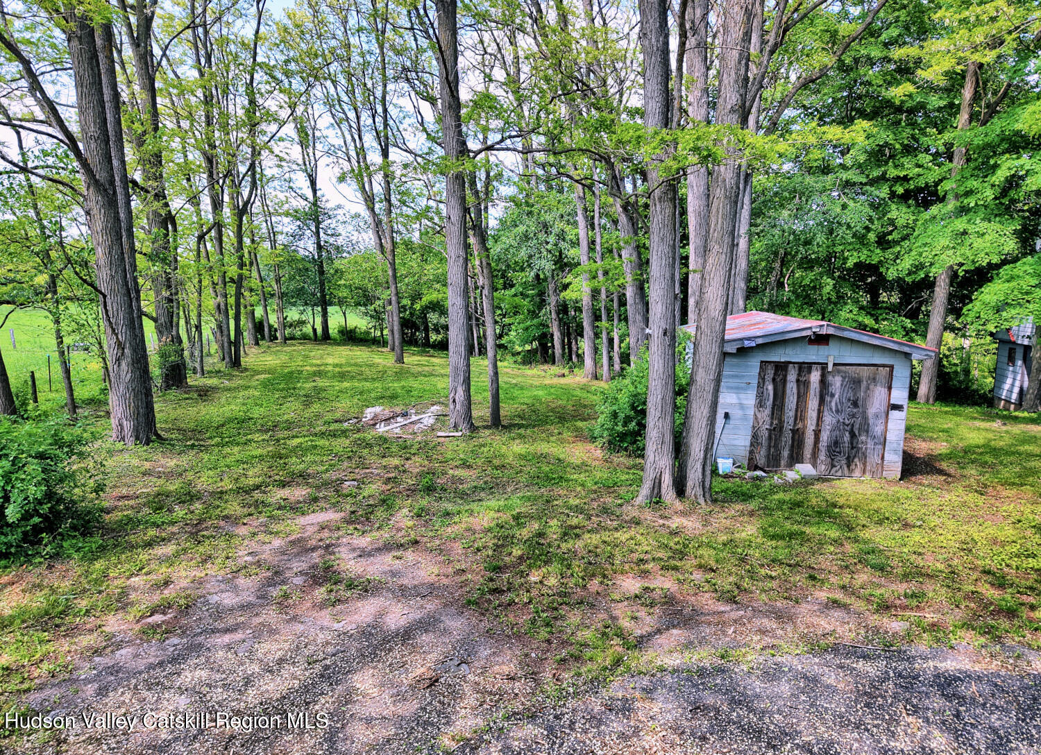 360 Stone Bridge Rd Extension East Durham, NY 12423 - Photo 16 of 83 a view of a house with a yard and large trees
