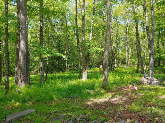 143 Roemerville Road Greentown, PA 18426 - Photo 28 of 34 Gallery Image 28