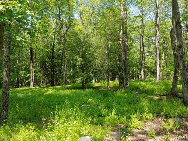 143 Roemerville Road Greentown, PA 18426 - Photo 29 of 34 Gallery Image 29