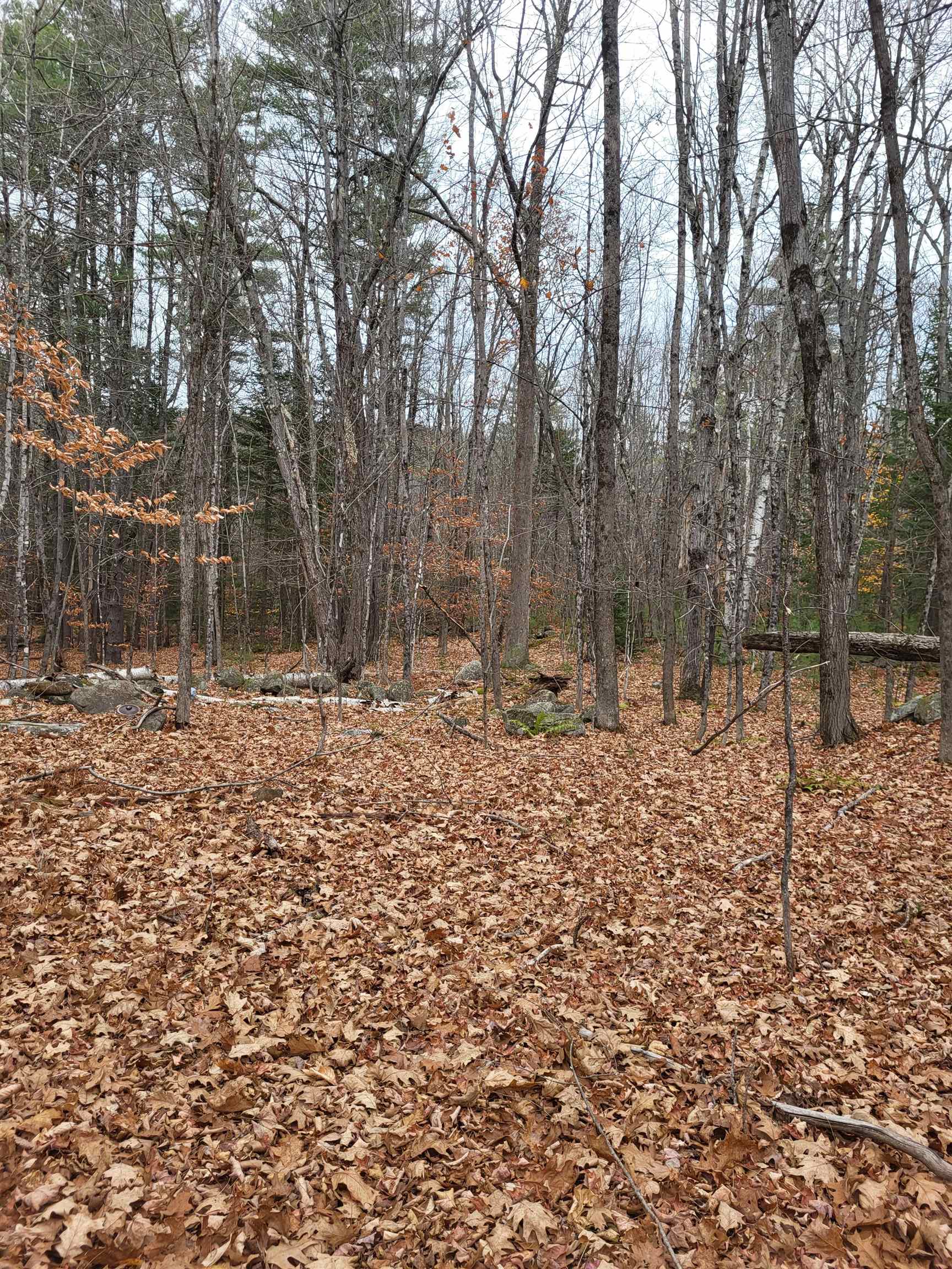 0 Rice Hill Road Freedom, NH 03836 - Photo 2 of 5