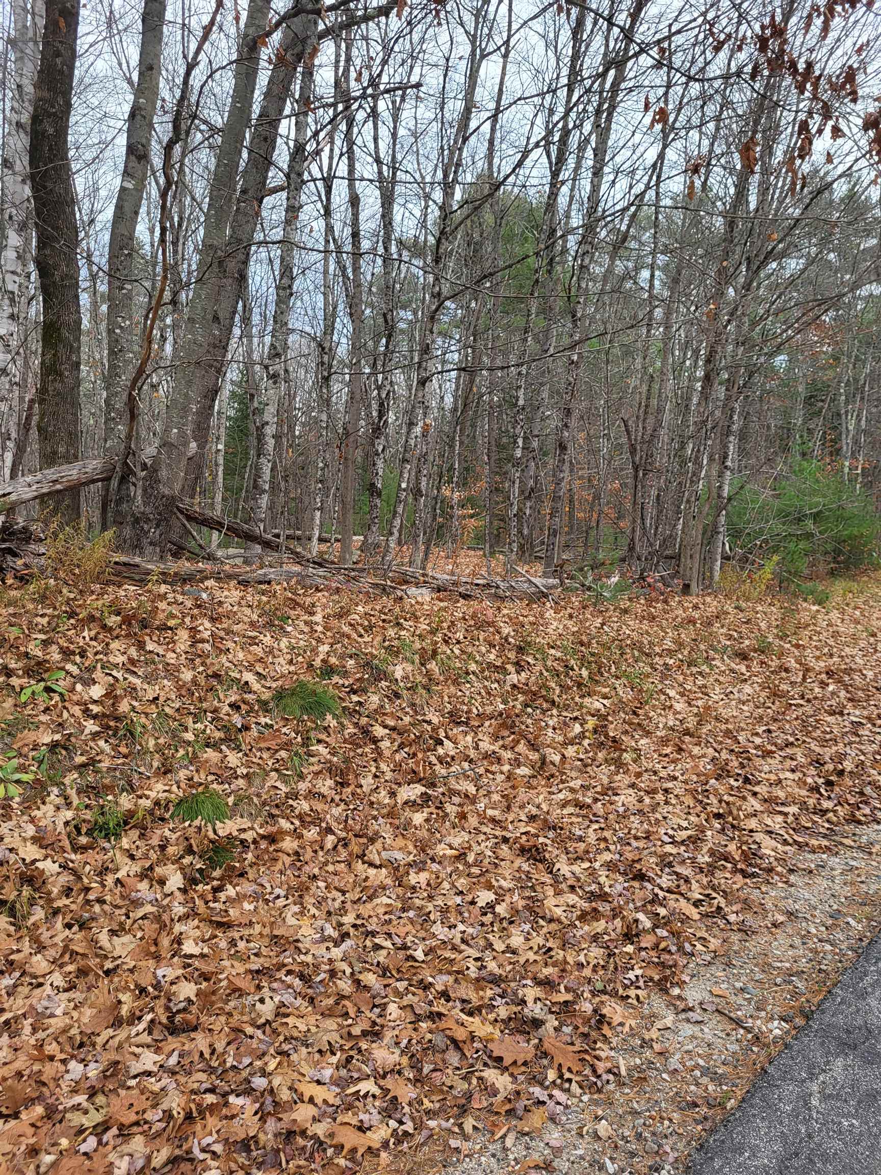 0 Rice Hill Road Freedom, NH 03836 - Photo 3 of 5