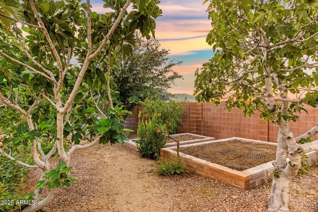 a bathroom with a sink a toilet and shower curtain
