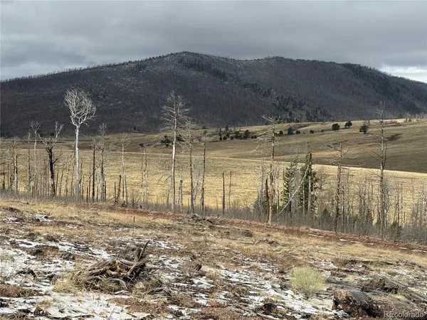 $33,750 | Lot 2415 Petito Drive, Fort Garland, CO 81133