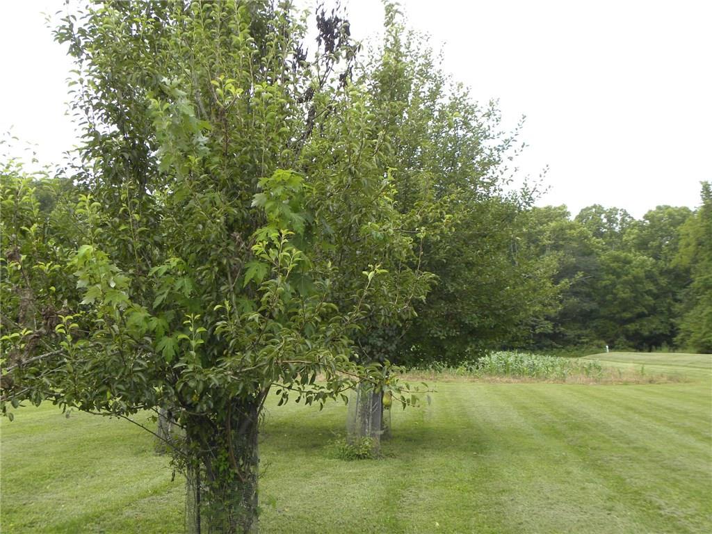 7438 Grandview Road Columbus, IN 47201 - Photo 8 of 38