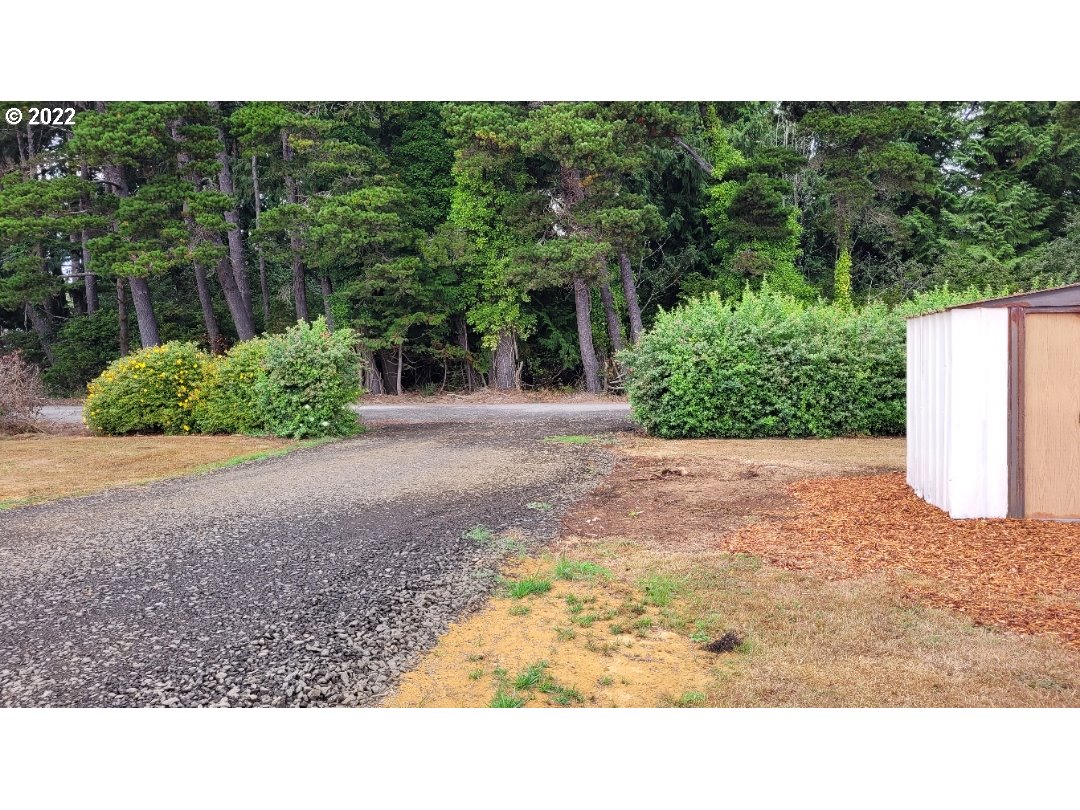 87919 Auction Barn Road Bandon, OR 97411 - Photo 23 of 28 Driveway