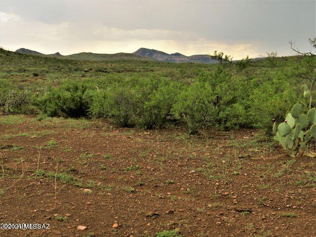 40.36 Acres Douglas, AZ 85607 - Photo 11 of 16 Gallery Image 11