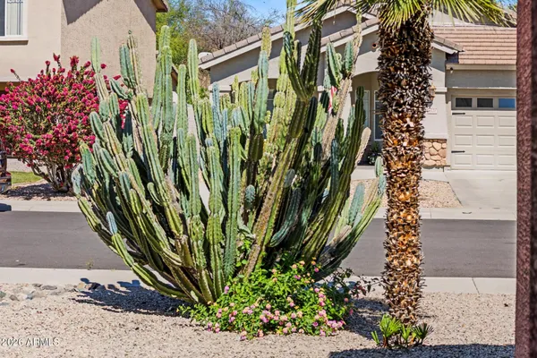 $2,185 | 8373 West Mary Ann Drive, Peoria, AZ 85382