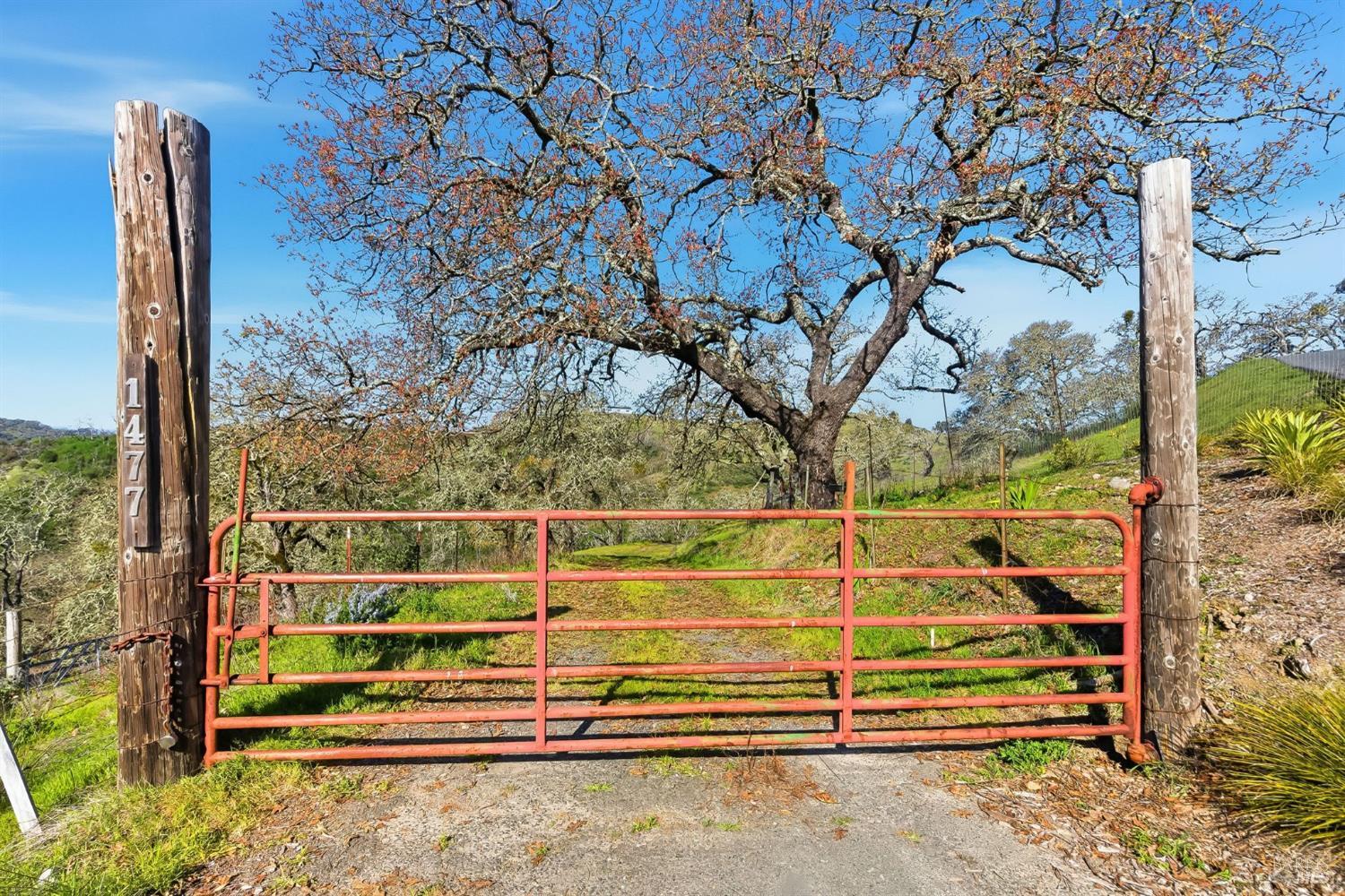 1477 Leslie Road Healdsburg, CA 95448 - Photo 10 of 40 a view of outdoor space with wooden floor and deck