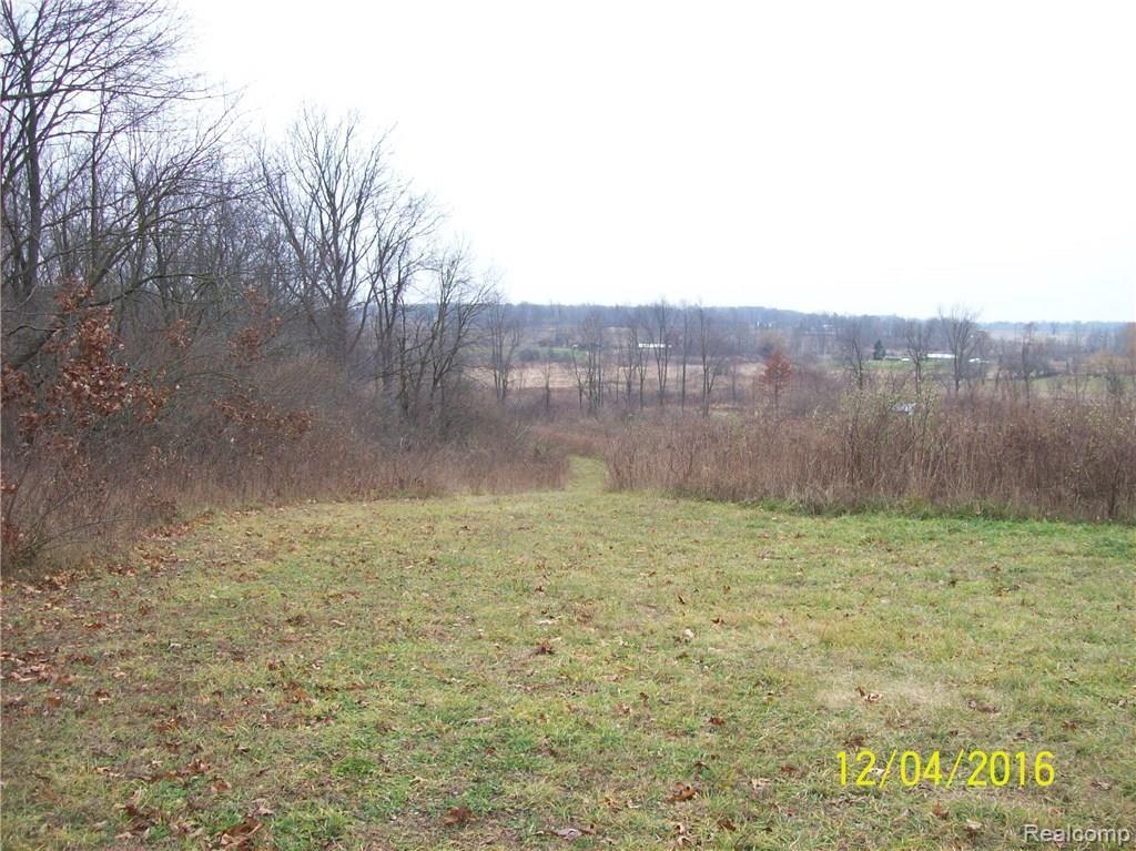 Na Moscow Road Jonesville, MI 49250 - Photo 3 of 36