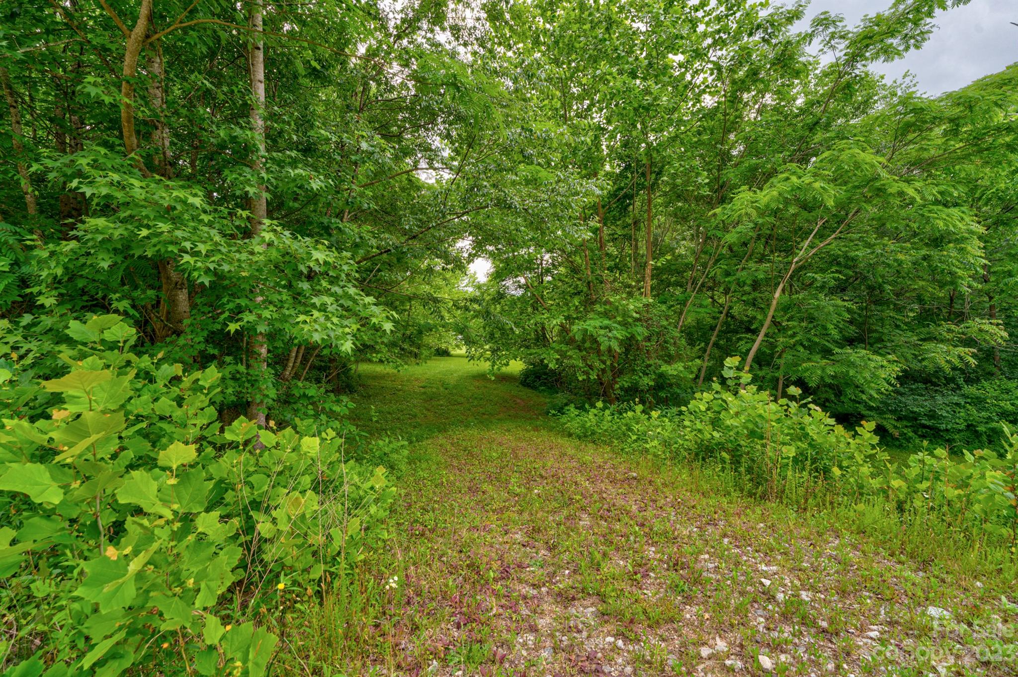 0 Zacks Farm Road, Unit 23 Lenoir, NC 28645 - Photo 4 of 15 Gallery Image 4