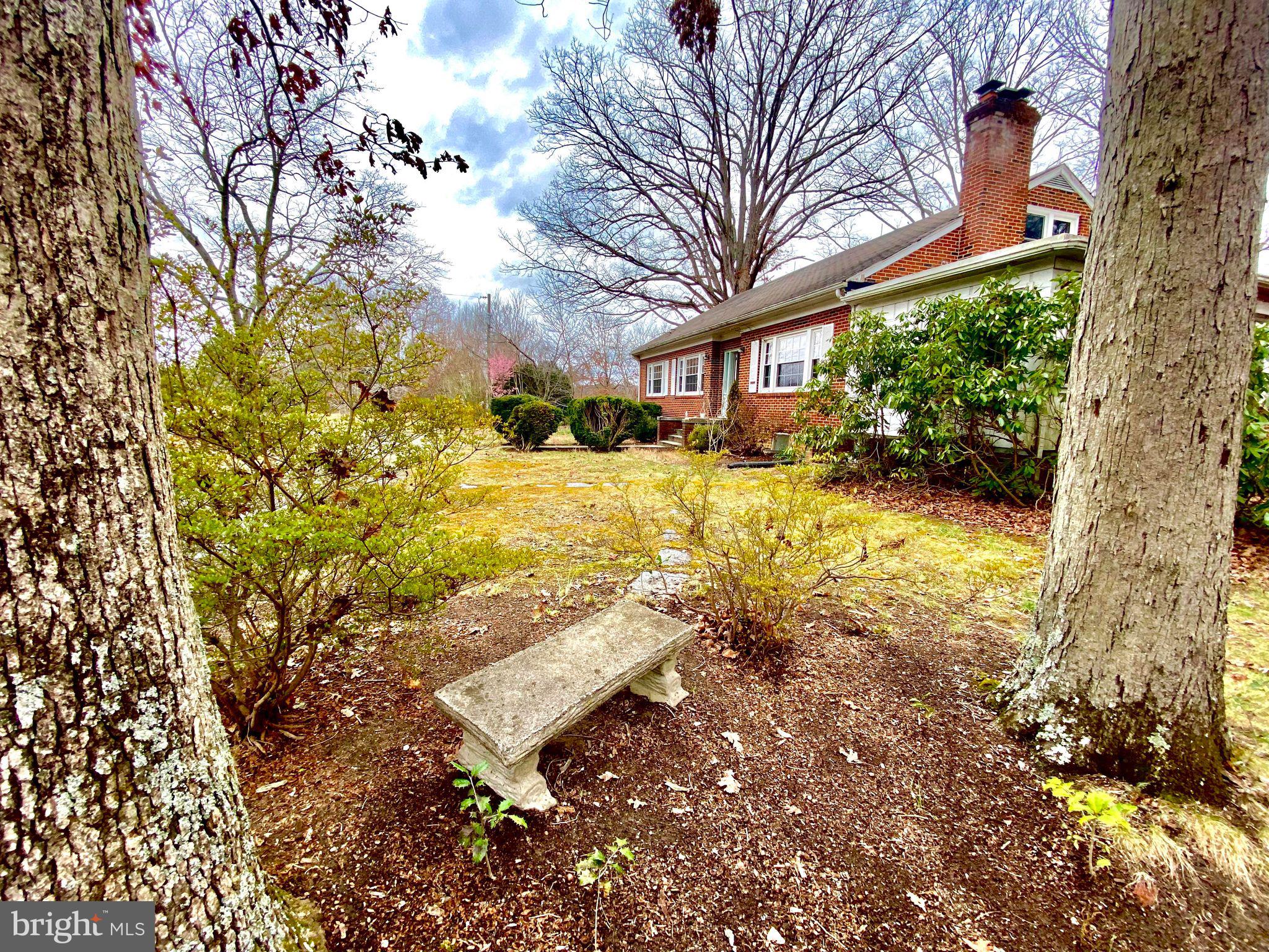 17088 Old Ridge Road Montpelier, VA 23192 - Photo 3 of 38 a view of a yard with plants and large trees